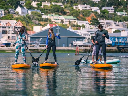Penguins in Simonstown
