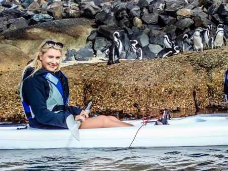 Penguins in Simonstown
