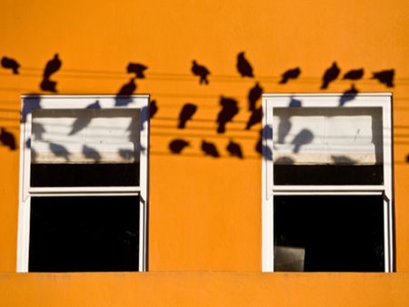 Cooking and photo tour in Bo-Kaap, Cape Town