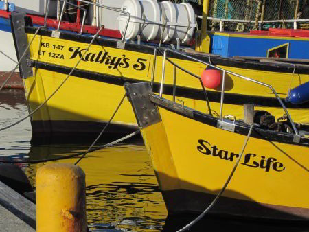 Cape Town Adventure Day Tours - SUP and Hike