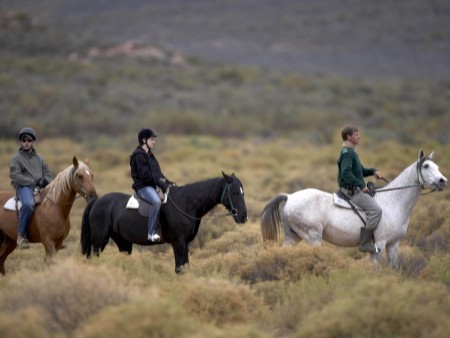Safari Horseback or Quadbike Day Tour 