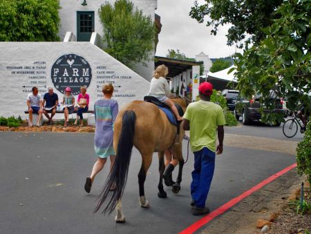 Noordhoek Horse Riding Adventure