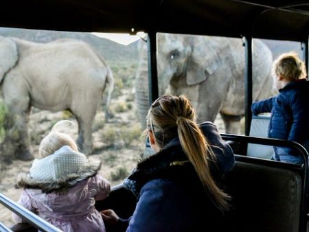 Cape Town Family Safari - overnight pacakge