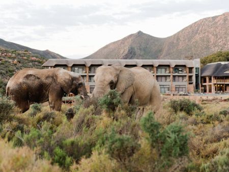 Aquila Game Reserve, lodge accommodation 