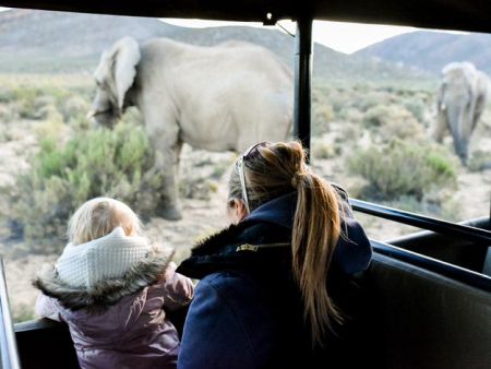 Cape Town Safari Day Tour _ lodge