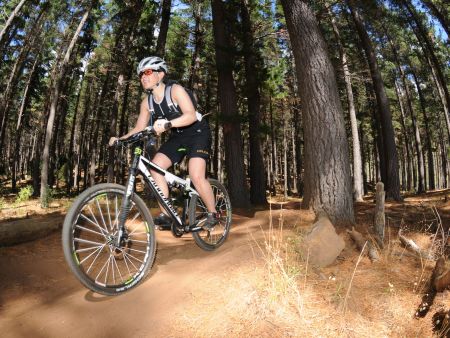 Forest Mountain Biking
